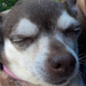 Meet your Posher, Got any